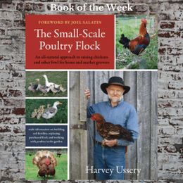 A Guide to Tapping into Poultry Power