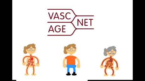 What is vascular ageing?  Animation by VascAgeNet ( Subtitled Version)
