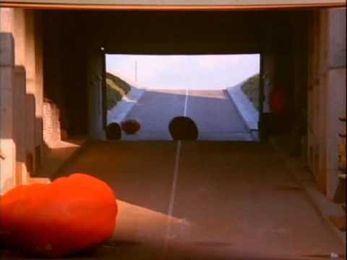 How to stop an attack of killer tomatoes