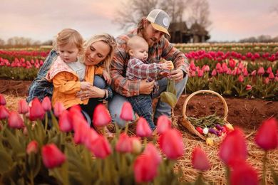 Pick your own Alabama-grown tulips