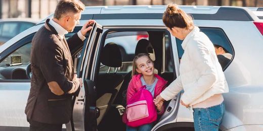 An Introduction to Emergency Brakes