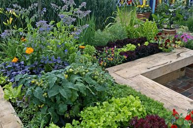 How to DIY a Raised Garden Bed and Its Benefits
