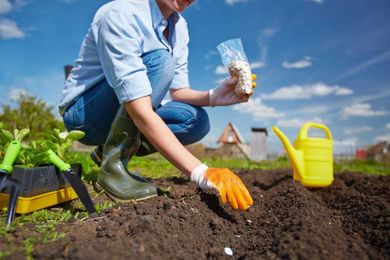 Things to Be Planted Now to Kick-Off Spring Gardening |