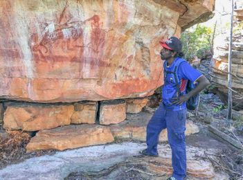 ‘Unbiased’ Computer Software Learns To Decipher Australian Rock Art