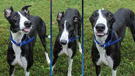 Looking for a jogging partner? Tina’s ready to race into your life