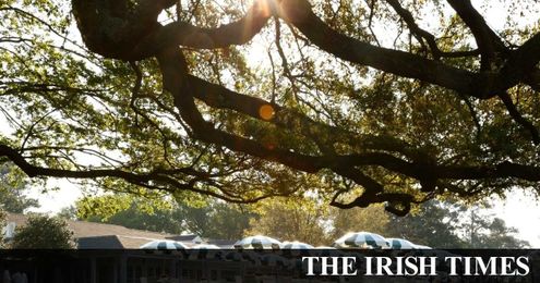 Andy Bull: Why I find myself pining for the Masters