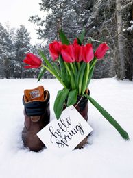 Six Spring HVAC Tips For Homeowners