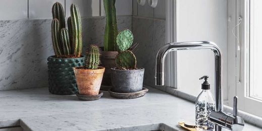 How to Care For Succulents So They Thrive All Year Long