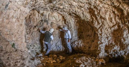 Are You Confused by Scientific Jargon? So Are Scientists