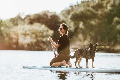 The Top 20 Destinations for Pet-Friendly Travel