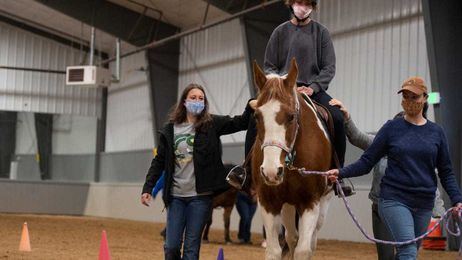 Rescued horses training to become therapy horses at CSU equine center