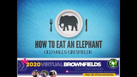 Old Malls/Greyfields: How Do You Eat an Elephant?