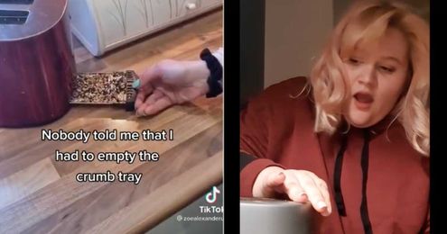 TikTokers Just Found Out That Toasters Have Crumb Trays, and I'm Sorry, What?