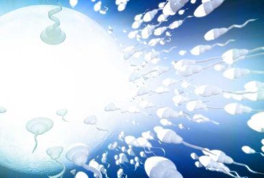 Would Thomas Jefferson Have Supported Sperm-Swapping Doctors?