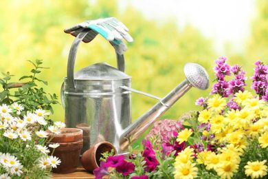 5 Gardening Tips That Will Get You Two (Green) Thumbs Up
