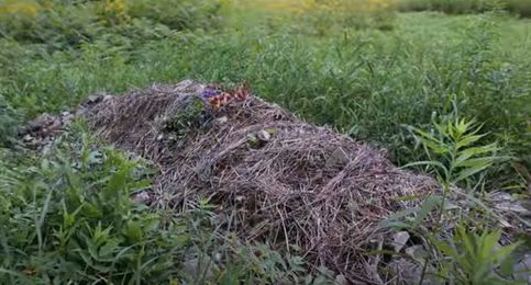 Earth Friendly to the End: Green Burials Now Offered in SWMI