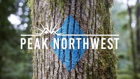How to make the most of Portland’s sprawling Forest Park: Peak Northwest podcast
