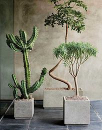 Pick the Perfect Planter