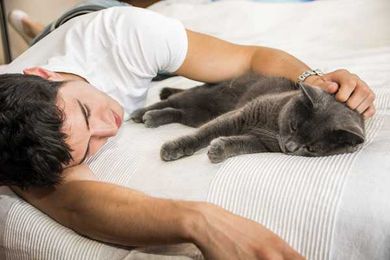 Thinking, "My Cat Wakes Me Up at the Same Time Every Day"? 5 Reasons Why