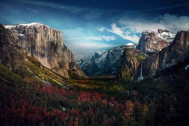 Save Green & Live Green at The Home Depot