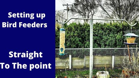 Setting up two bird feeders