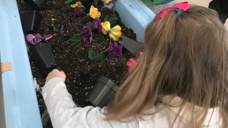 Let's make a flower sensory bin