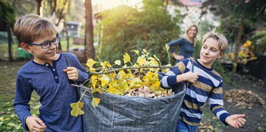 An Eco-Friendly Guide to Yard Waste Removal