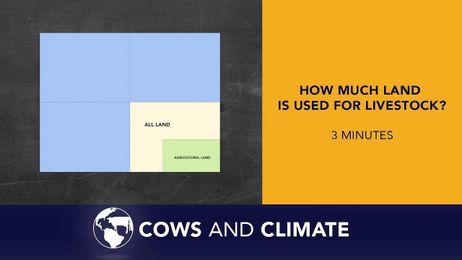How Much Land is Used for Livestock?