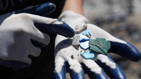 Ever dreamed of ‘adopting’ a beach on Maui? Here’s your chance