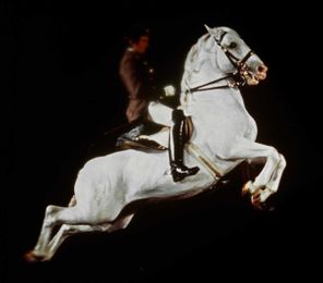 Iron Age Weapons—From Cold Metal to Warm-Blooded Animals