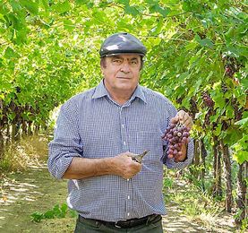 Prepared to grow a bunch