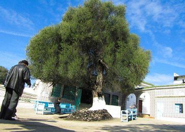 How a Rabbi’s Grave in Morocco Attracted Jews on Lag BaOmer