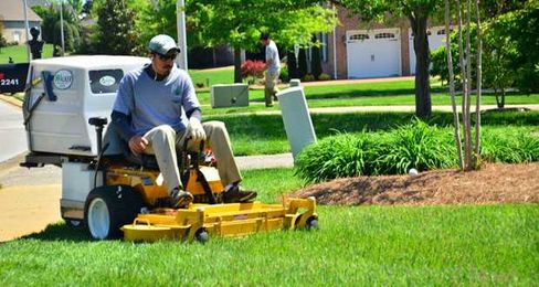 Need your lawn trimmed? There’s an app for that!