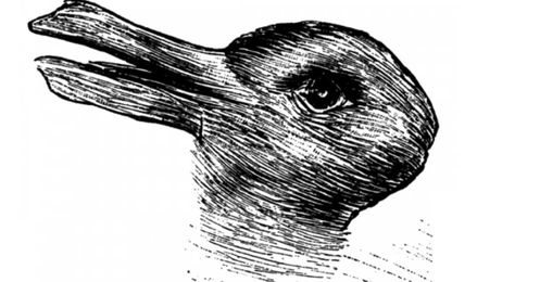 Does Your Personality Determine How You Perceive Illusions?