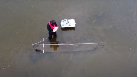 Man Looking for Kevin the Dolphin Accidentally Finds Centuries-Old Logboat