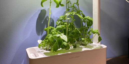 This Indoor Garden Is An Almost Fool-Proof Way to Grow Your Own Vegetables