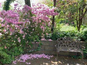 The 4 Steps to Ask Your Body What It Needs