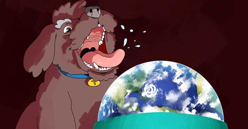 Are our pets gobbling up the planet?