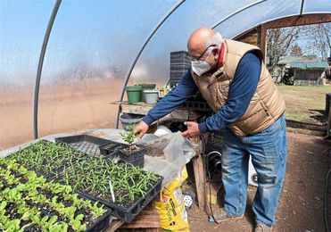 Greenhouse gardening: Getting a head start on growing season