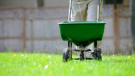 Living Sustainably: Proper lawn care protects water quality