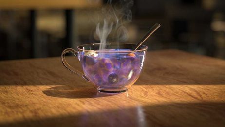 The Universal Law That Aims Time’s Arrow