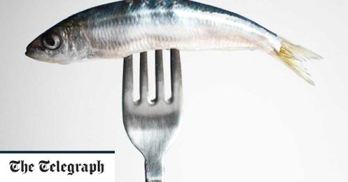 Is it OK to eat fish? Experts reveal the hidden truth behind Seaspiracy 