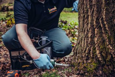 Offering plant health care services to your clients