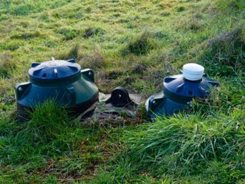 Growing Over Septic Tanks: Choosing Plants To Grow On A Septic System