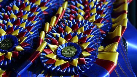 Brian Wee: Cut The Cost Of Showing By Slashing Programs