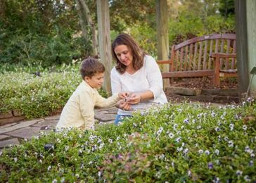 What about a Mother’s Day visit to a garden or farmers market?