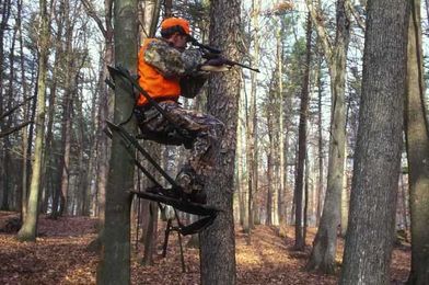 What is the Survivalist Niche and Why Is It Becoming So Popular?