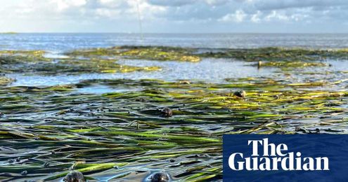 Drink brands that won’t cost the earth