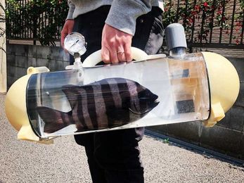 Want to Take Your Pet Fish for a Walk? There’s a Bag for That!