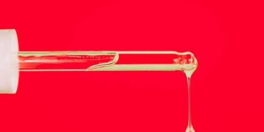 12 Beauty Brands Making the Whole Sustainability Thing Easy